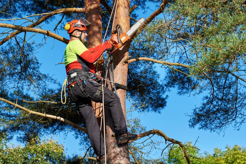 Independent Tree Climbers